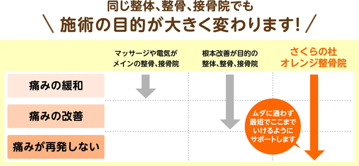 日本限定モデル】 自費メニュー構築！産後の骨盤矯正法 その他 - uryvet.fr